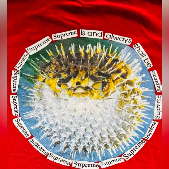 SUPREME BLOWFISH TEE - Picture 4 of 6